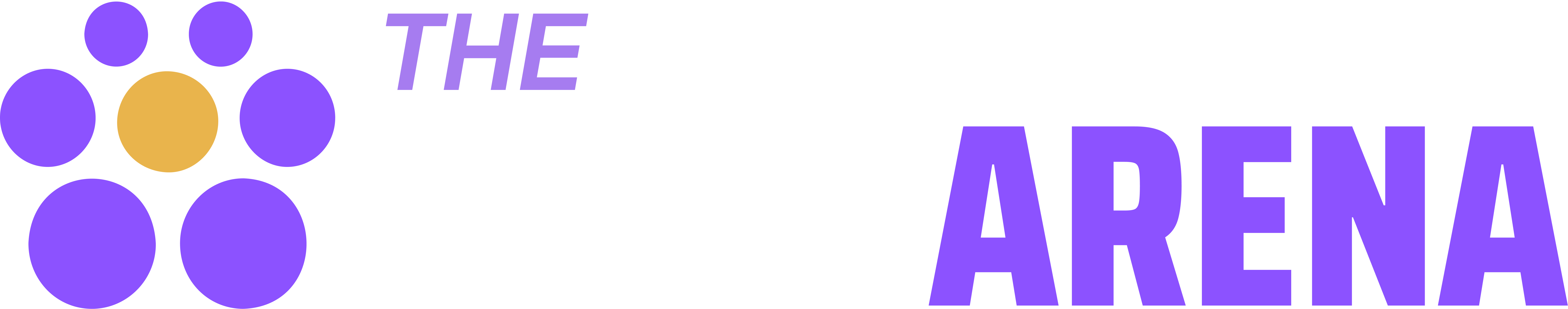 STEM Arena